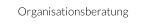 Organisationsberatung