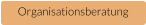 Organisationsberatung